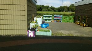 Grow Project developed through funding from Bailey Thomas and tended by Cheesy Waffles Youth Project